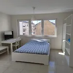 Elegant Spacious Room, Steps From Luxembourg Train Station